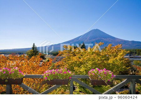 河口湖庭園の秋 96060424