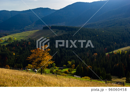 Beautiful autumn scenery. Fabulous autumn view of the mountain valley. Gorgeous morning scene of mountain village, Carpathians, Ukraine, Europe. Beautiful autumn scenery 96060458