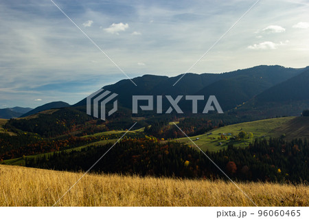 Nice landscape with rural meadow in Carpathian mountains, Ukraine 96060465
