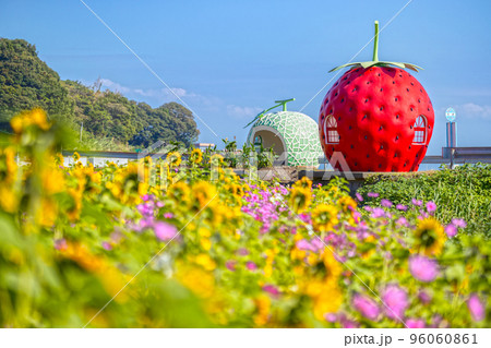 フルーツバス停 イチゴとメロンのバス停【長崎県諫早市小長井町】 フルーツバス停 イチゴとメロンのバス停【長崎県諫早市小長井町】 96060861