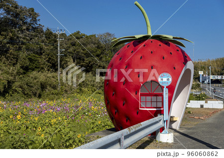 フルーツバス停 イチゴのバス停【長崎県諫早市小長井町】 フルーツバス停 イチゴのバス停【長崎県諫早市小長井町】 96060862