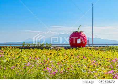 フルーツバス停 イチゴのバス停【長崎県諫早市小長井町】 96060872