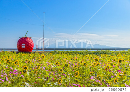 フルーツバス停 イチゴのバス停【長崎県諫早市小長井町】 フルーツバス停 イチゴのバス停【長崎県諫早市小長井町】 96060875