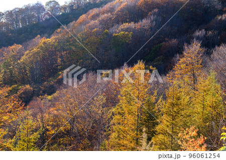 紅葉の輝き 紅葉の輝き 96061254