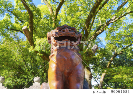 住吉大社　北大鳥居の狛犬 96061682