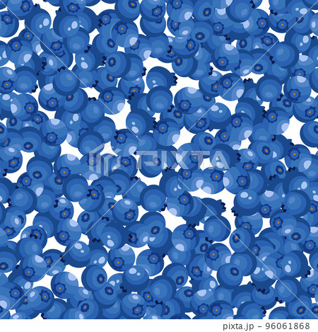 Seamless pattern with blueberry on white background. Natural fresh ripe tasty blueberries. Vector illustration for background, packaging, textile, fabric and various other designs 96061868
