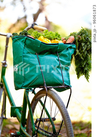 Packed with goodness. Cropped shot of a bag of vegatables on a bike. 96061873