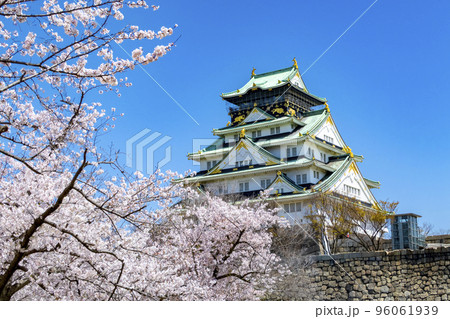 大阪城　桜　春 96061939