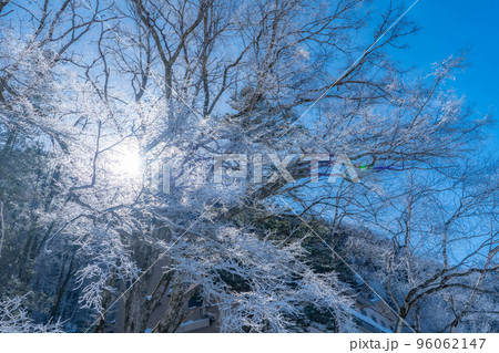 【レア素材】冬の上高地 霧氷【長野県】 【レア素材】冬の上高地 霧氷【長野県】 96062147