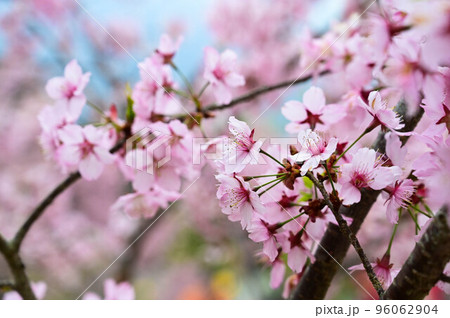 背景 バックグラウンド バックグランド 96062904