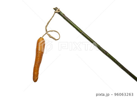 the carrot and the stick 96063263