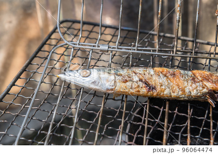 【中津川の河川敷でオートキャンプ　熾火を使って生サンマの塩焼き】 96064474