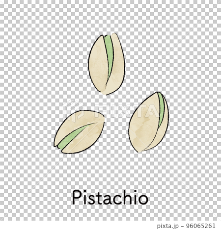 Illustration of pistachio Illustration of pistachio 96065261