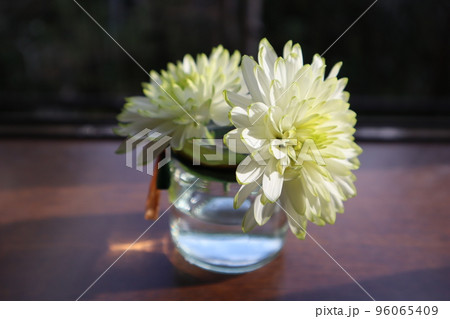 空瓶にクリサンセマムを飾る 96065409
