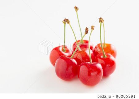 サクランボ　佐藤錦　 96065591