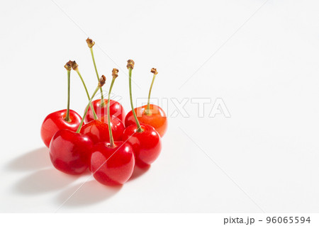 サクランボ　佐藤錦　 96065594