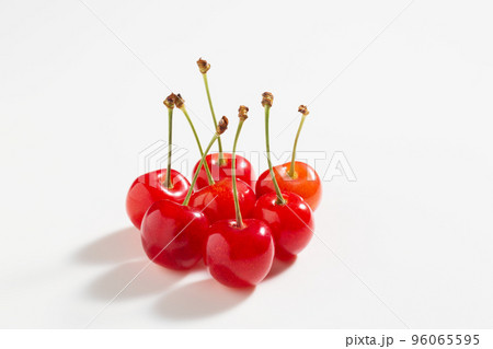 サクランボ　佐藤錦　 96065595