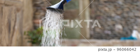 Watering flowers with a water can in the garden 96066042