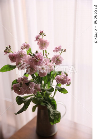 ストック ストック 96066523