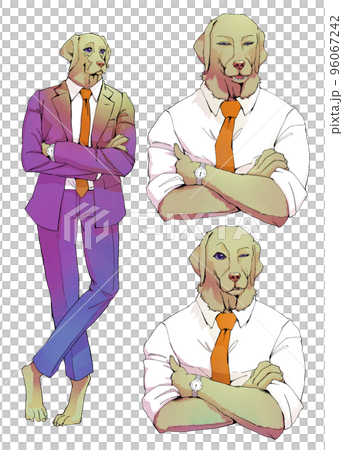 Gentleman labrador retriever in suit Gentleman labrador retriever in suit 96067242