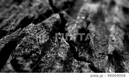 Burnt wood texture, dark forest atmosphere 96069006