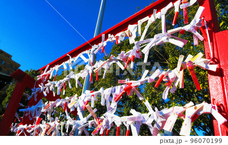 おみくじ結び所の数多くのおみくじと青空の風景 96070199