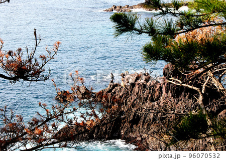 磯の先端に立ってメジナを釣る 磯の先端に立ってメジナを釣る 96070532