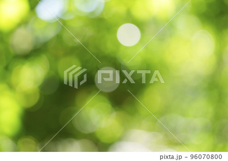 グリーンボケ 住吉大社境内の木々 グリーンボケ 住吉大社境内の木々 96070800