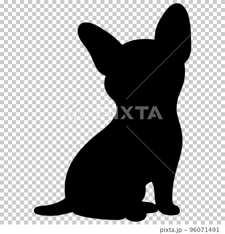 坐著的微型杜賓犬的剪影 坐著的微型杜賓犬的剪影 96071491