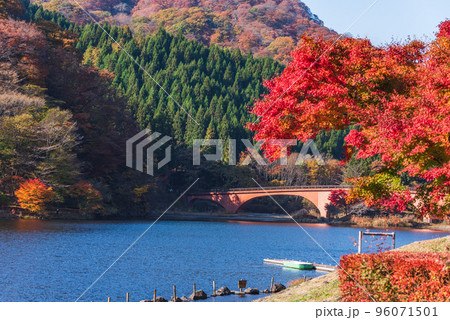 赤いもみじと碓氷湖夢のせ橋 96071501