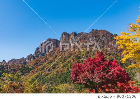 鮮やかな紅葉と妙義山 鮮やかな紅葉と妙義山 96071506