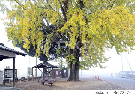 北条鉄道 朝霧の網引駅（兵庫県 加西市） 96072576