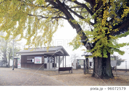 北条鉄道 朝霧の網引駅(兵庫県 加西市) 北条鉄道 朝霧の網引駅(兵庫県 加西市) 96072579