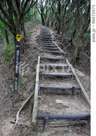 六甲縦走路の鉄拐山から旗振山への縦走路 96073975
