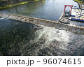 北海道 千歳川に遡上したたくさんの鮭とインディアン水車 96074615