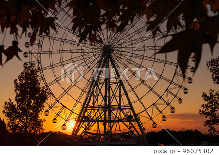 愛・地球博記念公園、夕暮れ時の大観覧車〈愛知県長久手市〉 96075302