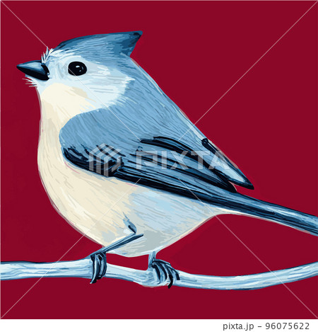 Vector realistic detailed vector illustration winter birds branches. Winter design elements Christmas, holidays. sitting branch. Winter background. Tree branch without leaves with flying birds. 96075622
