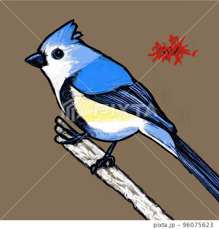 Vector realistic detailed vector illustration winter birds branches. Winter design elements Christmas, holidays. sitting branch. Winter background. Tree branch without leaves with flying birds. 96075623