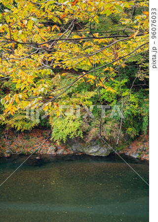 巴淵の紅葉【巴ヶ淵】 96076033