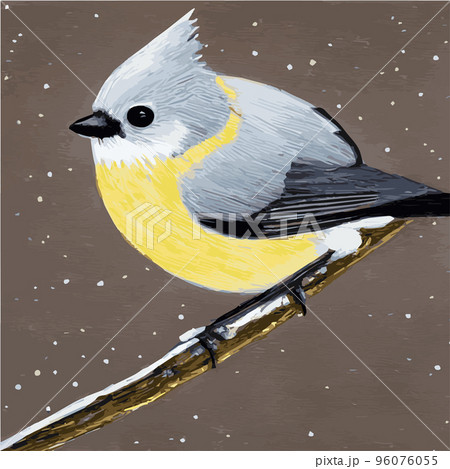 Vector realistic detailed vector illustration winter birds branches. Winter design elements Christmas, holidays. sitting branch. Winter background. Tree branch without leaves with flying birds. Vector realistic detailed vector illustration winter birds branches. Winter design elements Christmas, holidays. sitting branch. Winter background. Tree branch without leaves with flying birds. 96076055
