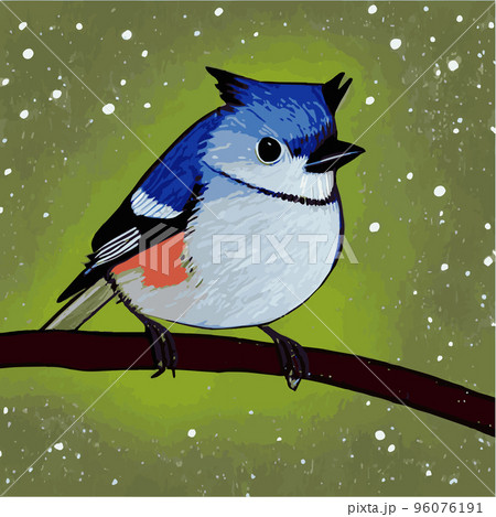 Vector realistic detailed vector illustration winter birds branches. Winter design elements Christmas, holidays. sitting branch. Winter background. Tree branch without leaves with flying birds. 96076191