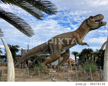 捕食中のティラノサウルス（伊豆ぐらんぱる公園） 96078136