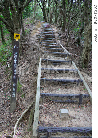 六甲縦走路の鉄拐山から旗振山への縦走路 六甲縦走路の鉄拐山から旗振山への縦走路 96078593