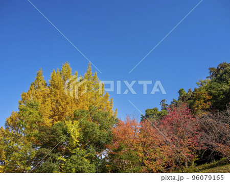 色づく山 色づく山 96079165
