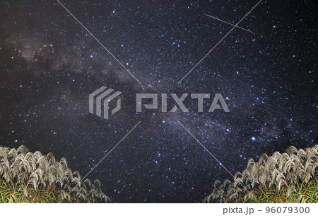 ススキと天の川と流れ星 96079300