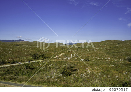 秋吉台　カルスト台地　山口県美祢市 96079517