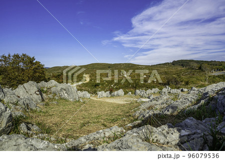 秋吉台 カルスト台地 山口県美祢市 秋吉台 カルスト台地 山口県美祢市 96079536