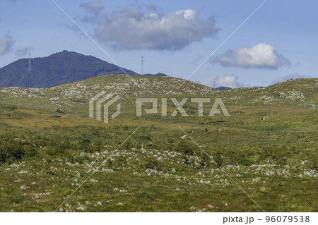 秋吉台　カルスト台地　山口県美祢市 96079538