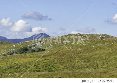 秋吉台　カルスト台地　山口県美祢市 96079541