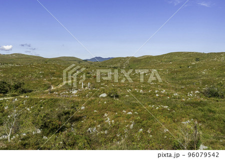 秋吉台　カルスト台地　山口県美祢市 96079542